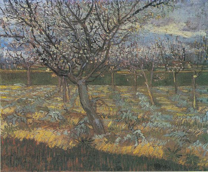 Vincent Van Gogh Flowering orchard with apricot-trees Norge oil painting art